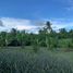  Land for sale in Indang, Cavite, Indang