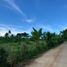  Land for sale in Indang, Cavite, Indang