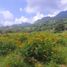  Land for sale in Tlalnepantla, Morelos, Tlalnepantla