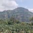  Land for sale in Tlalnepantla, Morelos, Tlalnepantla