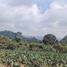  Land for sale in Tlalnepantla, Morelos, Tlalnepantla