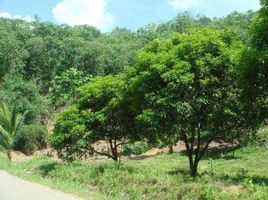  Land for sale in Pinamungahan, Cebu, Pinamungahan