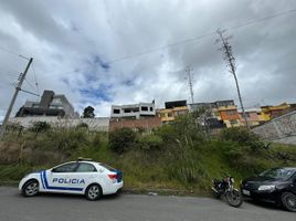  Grundstück zu verkaufen in Loja, Loja, Loja, Loja, Loja