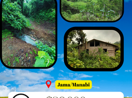  Terrain for sale in Jama, Manabi, Jama, Jama