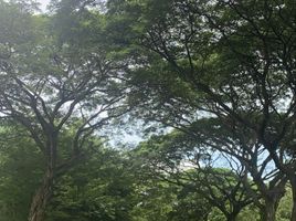  Terreno (Parcela) en venta en Santa Rosa City, Calabarzon, Santa Rosa City, Laguna
