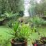 6 Habitación Casa en venta en Chile, Viña del Mar, Valparaíso, Valparaíso, Chile