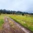  Terrain for sale in Azuay, Llacao, Cuenca, Azuay