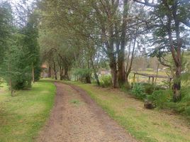  Terrain for sale in Azuay, Llacao, Cuenca, Azuay