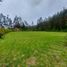  Land for sale in Cuenca, Azuay, Llacao, Cuenca