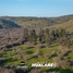  Land for sale in Hualane, Maule, Hualane