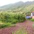  Terrain for sale in Calca, Cusco, Pisac, Calca