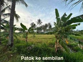  Land for sale in Labuhan, Banten, Labuhan, Pandeglang