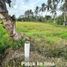  Land for sale in Labuhan, Banten, Labuhan, Pandeglang