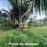  Land for sale in Labuhan, Banten, Labuhan, Pandeglang