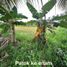  Land for sale in Labuhan, Banten, Labuhan, Pandeglang
