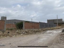 Terrain à vendre à San Luis Potosi, San Luis Potosi, San Luis Potosi, San Luis Potosi