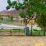  Grundstück zu verkaufen in Tlajomulco De Zuniga, Jalisco, Tlajomulco De Zuniga, Jalisco