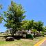 Terrain à vendre à Tlajomulco De Zuniga, Jalisco, Tlajomulco De Zuniga