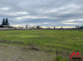  Land for sale in Talca Maule, San Clemente, Talca
