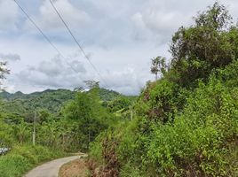  Grundstück zu verkaufen in Cebu, Central Visayas, Cebu City