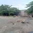  Land for sale in Las Pinas City, Metro Manila, Las Pinas City