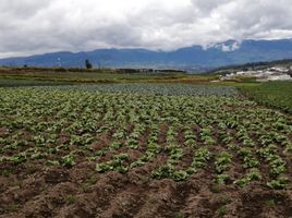  Terrain for sale in Tungurahua, Atahualpa Chisalata, Ambato, Tungurahua