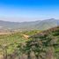  Terreno (Parcela) en venta en Melipilla, Santiago, Curacavi, Melipilla