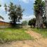  Land for rent in Dist Tlacolula, Oaxaca, Dist Tlacolula