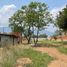  Land for rent in Dist Tlacolula, Oaxaca, Dist Tlacolula