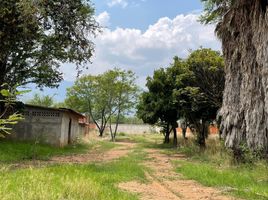 在Oaxaca出租的 土地, Dist Tlacolula, Oaxaca