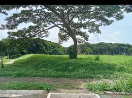 Terrain à vendre à Calamba City, Calabarzon, Calamba City