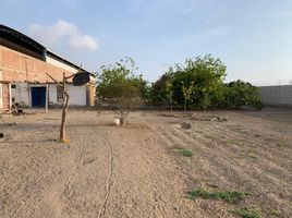  Terreno (Parcela) en venta en Chilca, Cañete, Chilca