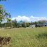  Land for sale in Muntinlupa City, Metro Manila, Muntinlupa City