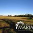  Terreno (Parcela) en venta en Chile, Villarrica, Cautín, Araucanía, Chile