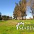  Terreno (Parcela) en venta en Chile, Villarrica, Cautín, Araucanía, Chile