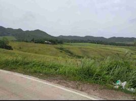  Land for sale in Tabogon, Cebu, Tabogon