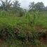  Land for sale in Sukabumi, West Jawa, Lengkong, Sukabumi