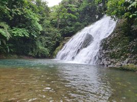  Terreno (Parcela) en venta en Pedro Vicente Maldonado, Pichincha, Pedro Vicente Maldonado, Pedro Vicente Maldonado