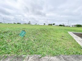  Grundstück zu verkaufen in Santa Rosa City, Calabarzon, Santa Rosa City, Laguna, Calabarzon
