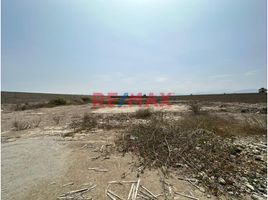  Terreno (Parcela) en venta en Chincha Baja, Chincha, Chincha Baja