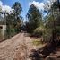  Land for sale in Mineral Del Chico, Hidalgo, Mineral Del Chico, Hidalgo