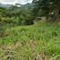  Terrain for sale in Girardota, Antioquia, Girardota