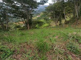  Terrain for sale in Girardota, Antioquia, Girardota