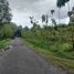  Land for sale in Bantul, Yogyakarta, Pajangan, Bantul