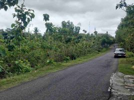  Grundstück zu verkaufen in Bantul, Yogyakarta, Pajangan