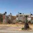  Land for rent in Aguascalientes, Aguascalientes, Aguascalientes, Aguascalientes