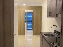 1 Bedroom Condo for sale in Manila International Airport LRT-1, Pasay City, Mandaluyong City