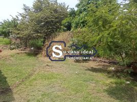  Land for sale in Tlayacapan, Morelos, Tlayacapan