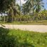  Terrain for sale in Island Garden Samal City, Davao del Norte, Island Garden Samal City