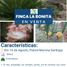  House for sale in Palora Morona Santiago, Palora Metzera, Palora, Morona Santiago